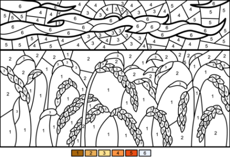 Розмальовка Пшеничне поле - розмальовка за номерами - Клікніть щоб відкрити версію для друку